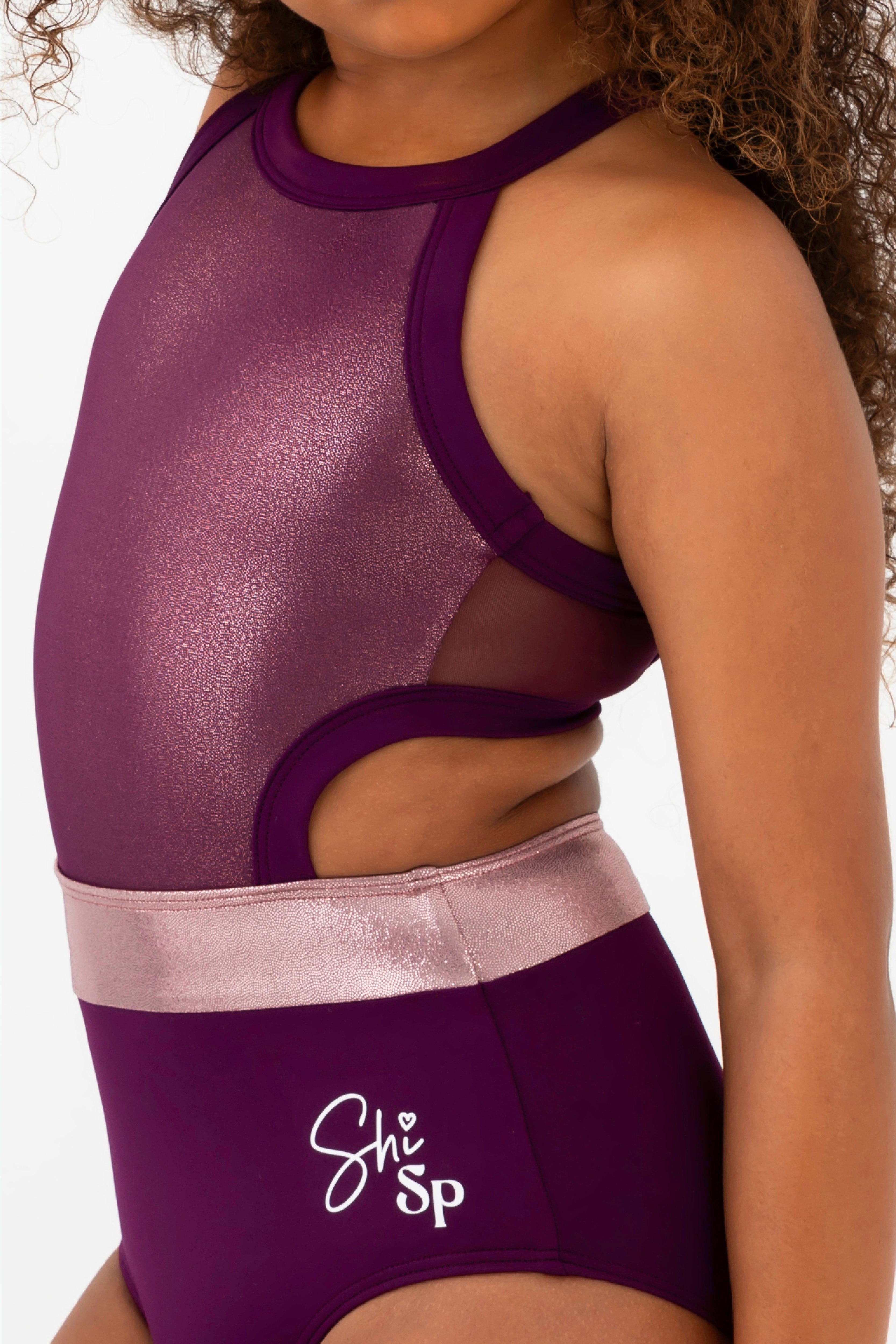 Sugar Plum Leotard